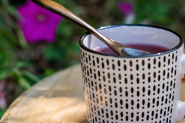Le thé violet : La perle rare du Kenya